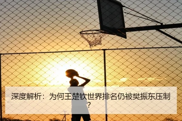 深度解析：为何王楚钦世界排名仍被樊振东压制？